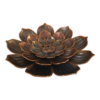 Räucherstäbchenhalter/ Aschefänger - Lotus - Farbe: Bronze