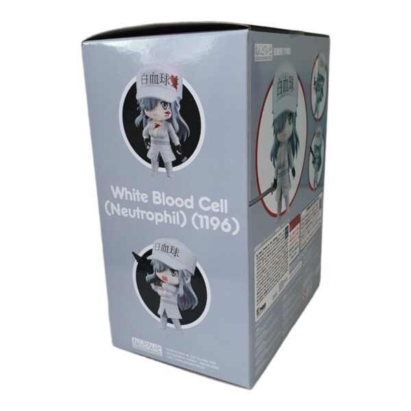 1579 White Blood Cell Neutrophil Split Teil: OVP